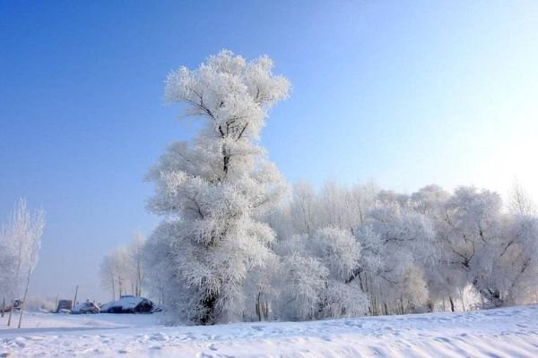 12月旅游国内最佳地，一二月旅游国内哪里好