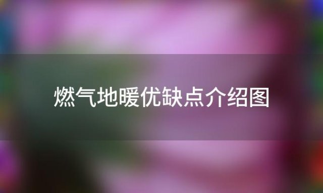 燃气地暖优缺点介绍图，燃气地暖的优缺点