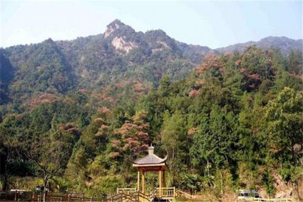 郴州十大风景名胜排名莽山巴厘岛网红鸟巢