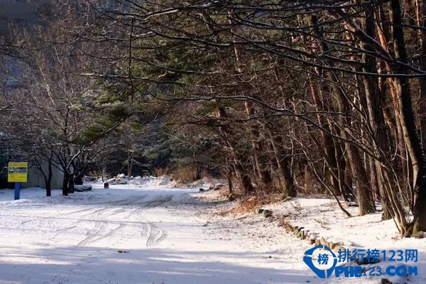 十个穷游必去的雪景胜地有哪些「雪景去哪」