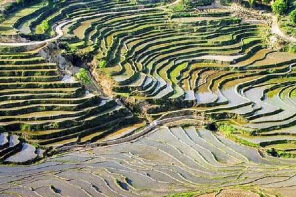 中国十大最美梯田榜几个