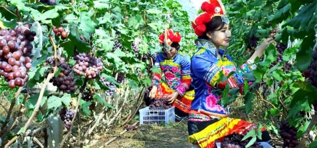 春节遇见楚雄！元谋春节文化旅游活动 景点优惠 游玩路线