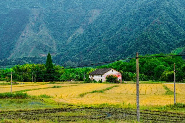 安徽自驾游经典线路家庭用(安徽自驾游旅游线路全攻略)