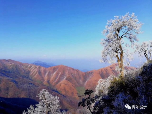 南山风景区有哪些景观景点(南山风景区有什么好玩的)