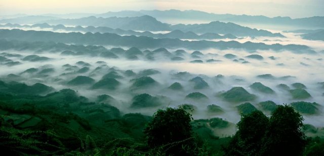 世界上最大的天然竹林景区——蜀南竹海