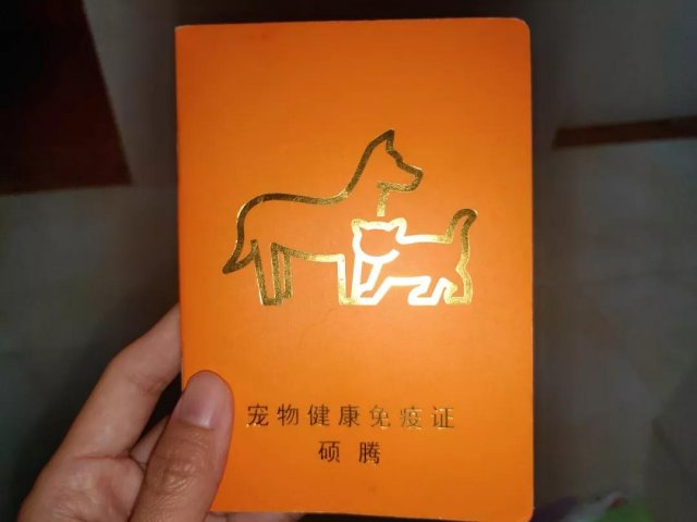 怎么在网上订飞机票便宜