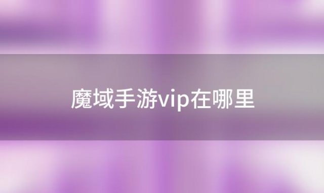 魔域手游vip在哪里(魔域手游魔法师怎么玩)