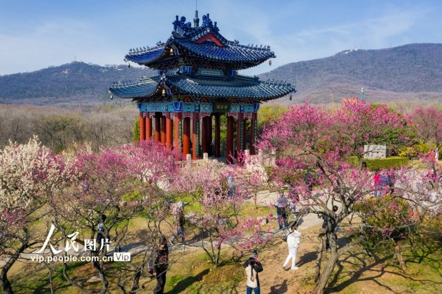 南京浦口旅游景点大全(南京免费旅游景点大全)