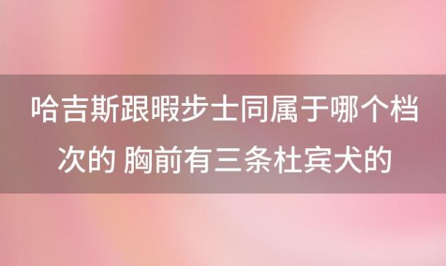 哈吉斯跟暇步士同属于哪个档次的 胸前有三条杜宾犬的是什么