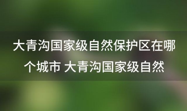 大青沟国家级自然保护区在哪个城市 大青沟国家级自然保护区有什么