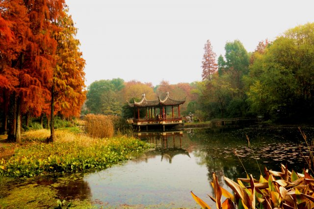 北京香山旅游攻略自由行 北京香山公园门票预约