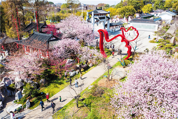 武汉东湖樱花门票(武汉东湖樱花开了没)