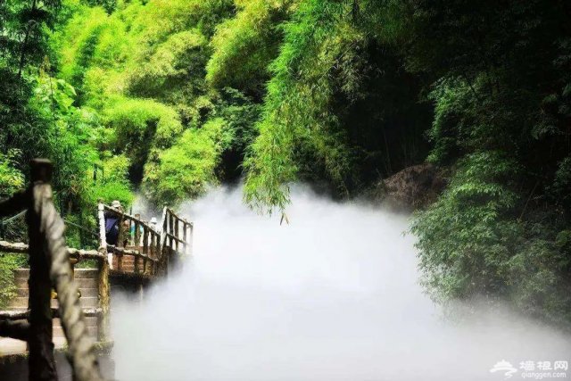 川西竹海旅游攻略，川西竹海景区在哪