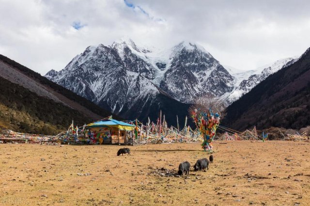 西藏美食和景点，西藏的美食美景