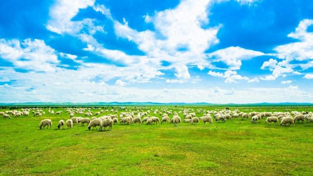 四川8个值得去的地方，四川8个值得去的地方有哪些