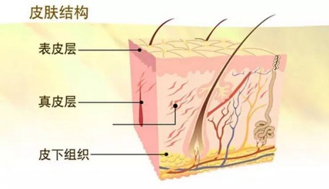 加厚角质层的护肤品有哪些 加厚角质层的护肤品推荐