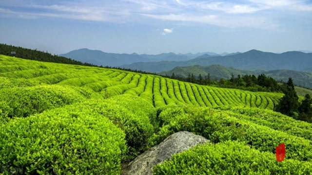 贵州九大名山有哪些，贵州九大名山分别在什么地方