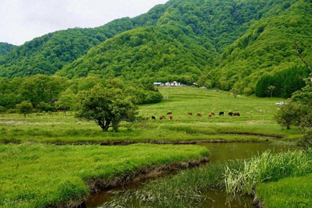 湖北哪里爬山好玩「湖北爬山地点推荐」