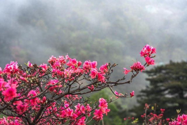 湖北哪里爬山好玩「湖北爬山地点推荐」