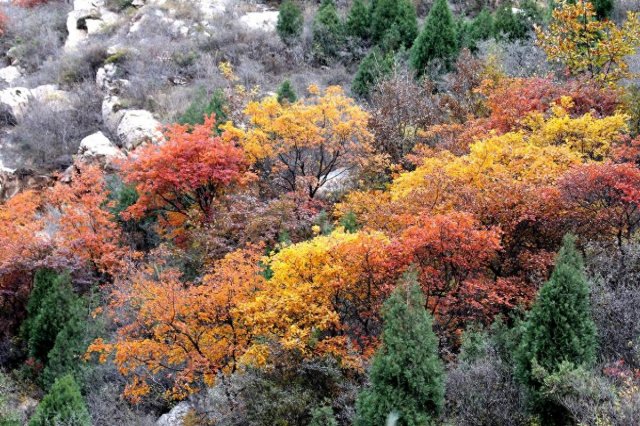 天津市九大名山有哪些 天津市九大名山是什么山