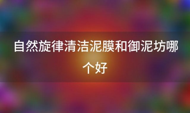 自然旋律清洁泥膜和御泥坊哪个好「自然旋律和御泥坊哪个去黑头好」