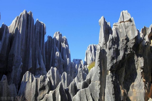 石林60岁以上免票吗，石林景区门票怎么买