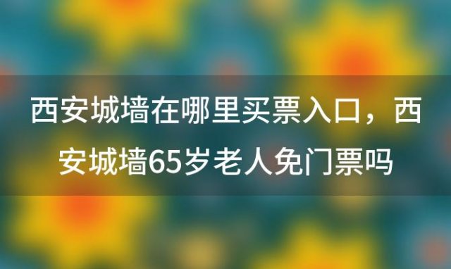 西安城墙在哪里买票入口，西安城墙65岁老人免门票吗