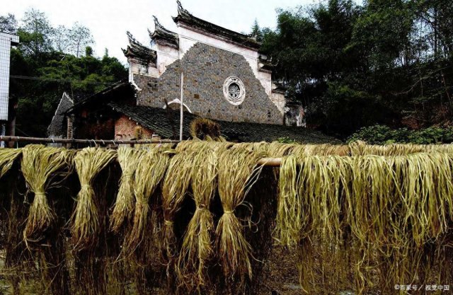 四川达州的特产(四川达州市特产较出名)