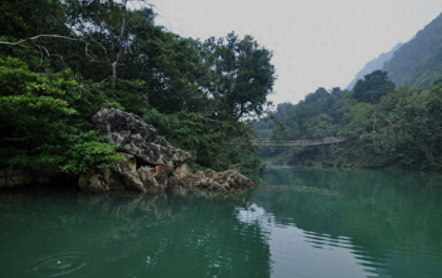 广西八大适合亲子旅游的地方推荐，广西亲子旅游攻略