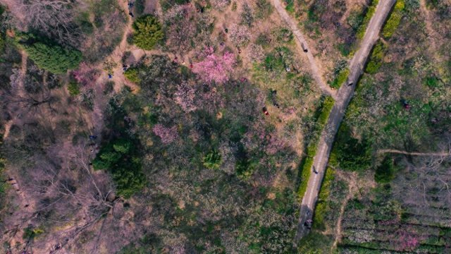 南京市十大名山排名「南京市十大名山排行榜」