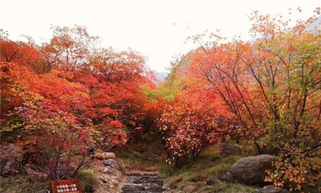 咸阳市郑国渠风景区，咸阳泾阳郑国渠