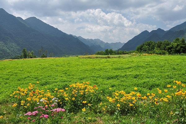 重庆夏季露营基地推荐 重庆夏季露营基地推荐地点