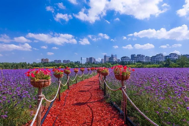 乌海旅游攻略景点必去 乌海市旅游景点介绍 内蒙古自治区乌海市旅游景点