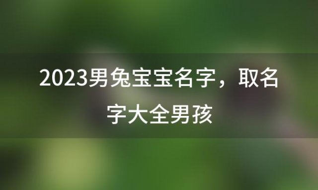 2023男兔宝宝名字，取名字大全男孩