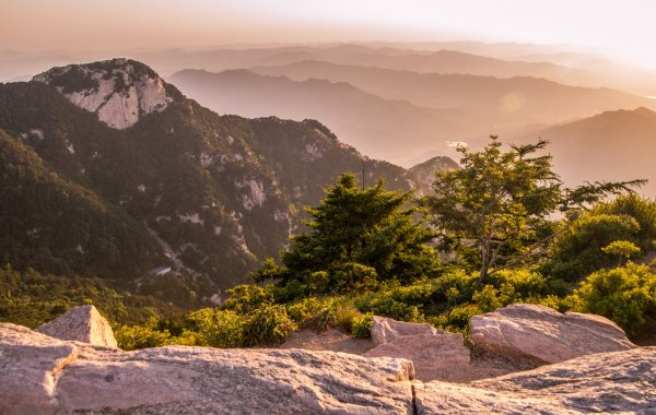 上海去泰山的旅游攻略一日游，上海去泰山的旅游攻略路线