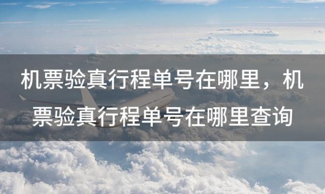 机票验真行程单号在哪里？机票验真行程单号在哪里查询