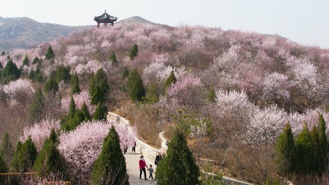 昆玉山「昆玉山景区」