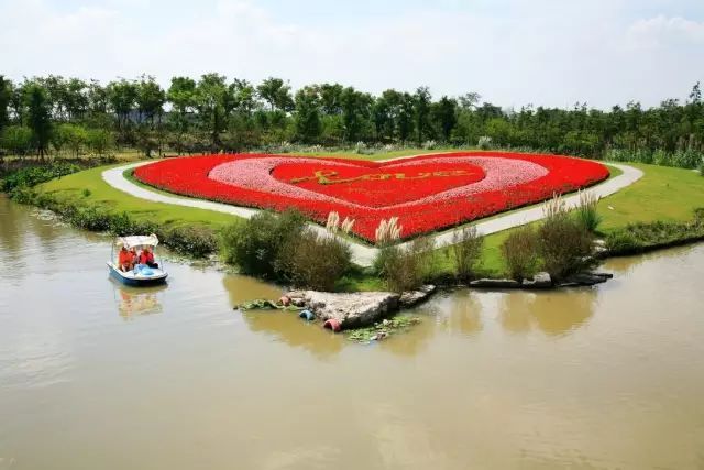 上海周浦花海公园门票价格「上海周浦花海门票价格」