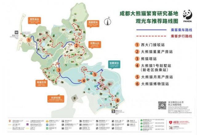 成都 大熊猫基地 攻略，成都大熊猫基地值得去吗