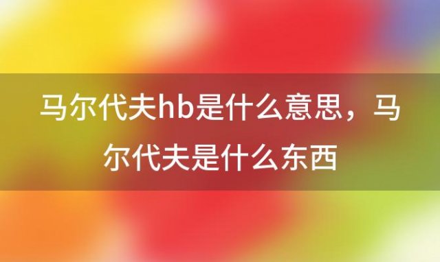 马尔代夫hb是什么意思 马尔代夫是什么东西