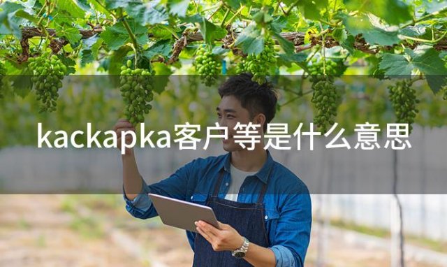 kackapka客户等是什么意思「ka客户是什么意思啊」
