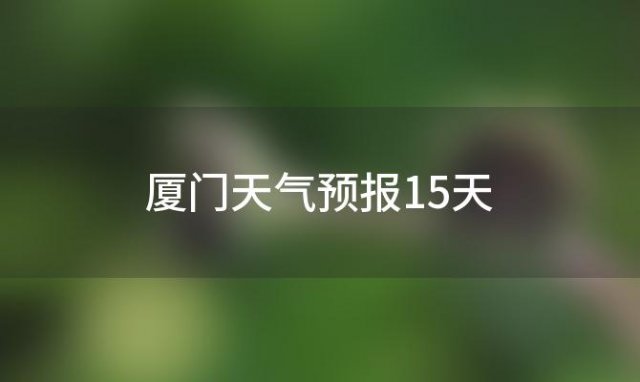 厦门天气预报15天「2023年10月29日」