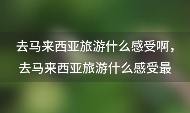 去马来西亚旅游什么感受啊 去马来西亚旅游什么感受最好