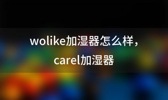 wolike加湿器怎么样，carel加湿器