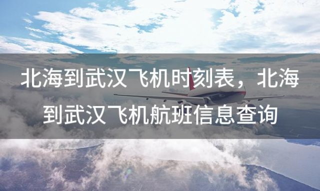 北海到武汉飞机时刻表 北海到武汉飞机航班信息查询