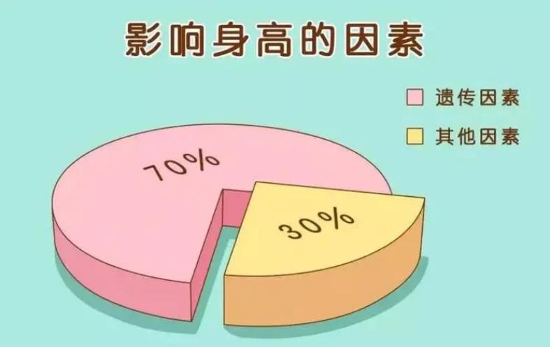 什么因素会影响孩子身高发育「什么因素会影响孩子身高呢」