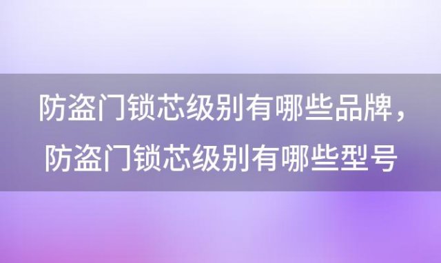 防盗门锁芯级别有哪些品牌，防盗门锁芯级别有哪些型号