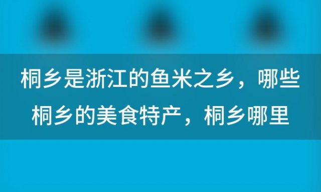 桐乡是浙江的鱼米之乡 哪些桐乡的美食特产 桐乡哪里有特产