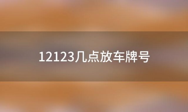 12123几点放车牌号(交管12123号牌投放时间)