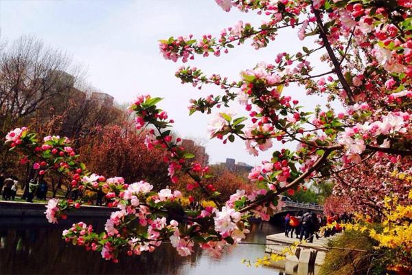 北京海棠花溪好玩吗 北京海棠花溪景区在哪儿